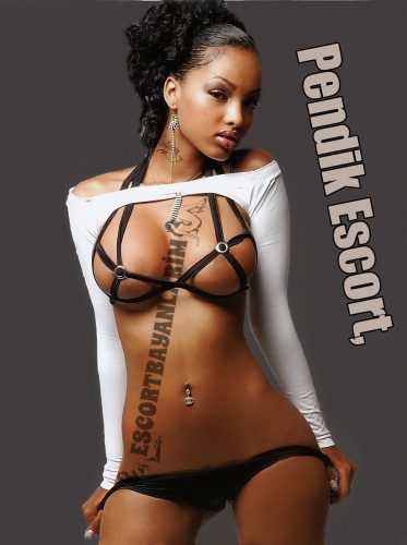 Pendik Havalı Escort