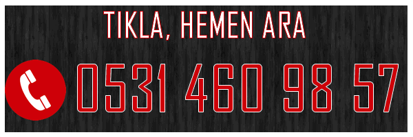 Pendik Escort Bahar