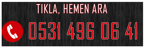 Pendik Escort Cansu