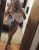 kurtkoy escort tina 2