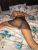 pendik-kurtkoy-escort-bayan-hayal-5