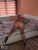 pendik-kurtkoy-escort-bayan-hayal-6