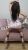 pendik-escort-bayan-gamze-4