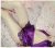 anadolu-yakasi-escort-bayan-nina-5