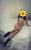 pendik-escort-bayan-selen-4