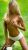 pendik-escort-bayan-burcu-2
