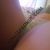 escort-bayan-asuman-5 escort-bayan-asuman-5