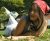kurtkoy-escort-bayan-defne-6