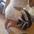kartal-escort-bayan-melek-5