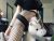 pendik-escort-bayan-basak-6