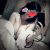 kurtkoy-pendik-escort-bayan-tuana-ve-banu-1 kurtkoy-pendik-escort-bayan-tuana-ve-banu-1