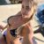 anadolu-yakasi-escort-bayan-hazal-4 anadolu-yakasi-escort-bayan-hazal-4