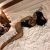 escort-bayan-shakira-4 escort-bayan-shakira-4