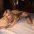 escort-bayan-asena-4