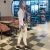 escort-bayan-milana-monika-5